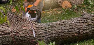 Best Artificial Turf Installation  in Town Creek, AL